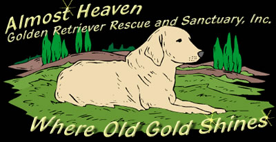 almost heaven dog rescue