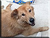 Buffy