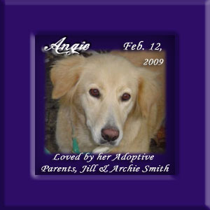 Angie's Memorial February 12, 2009