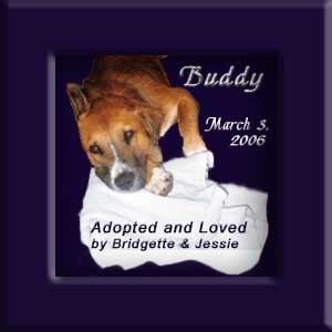 Buddy's Memorial