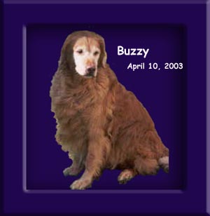 Buzzy's Memorial April 10, 2003