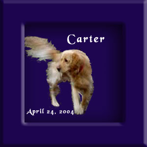 Carter's Memorial April 24, 2004