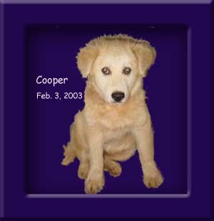 Cooper's Memorial February 3, 2003