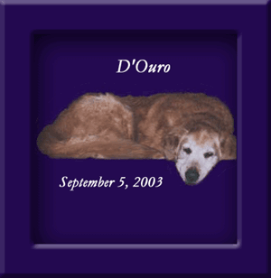 D'Ouro's Memorial September 5, 2003