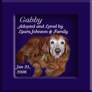 Gabby's Memorial