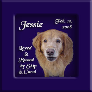 Jessie's Memorial February 10, 2008