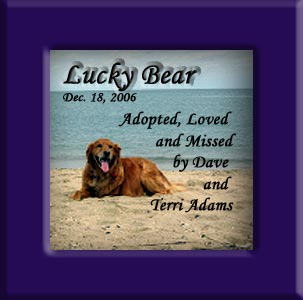 Lucky Bear's Memorial December 18, 2006