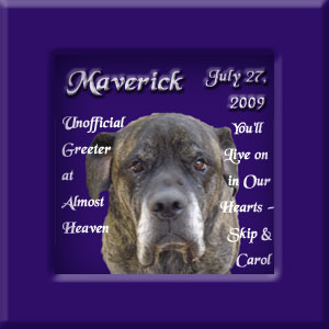 Maverick's Memorial July 2009