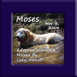 Moses' Memorial