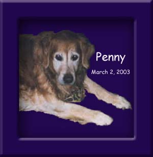 Penny's Memorial March 2, 2003