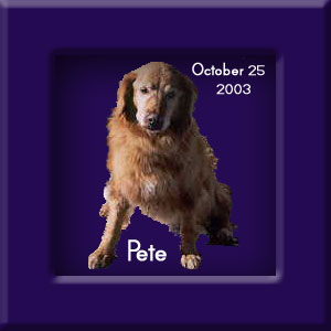 Pete's Memorial October 25, 2003