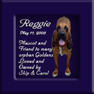Reggie's Memorial May 11, 2008