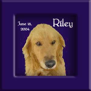 Riley's Memorial