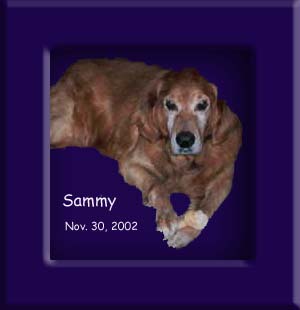 Sammy's Memorial