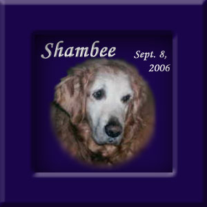 Shambee's Memorial