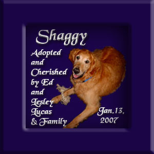 Shaggy's Memorial