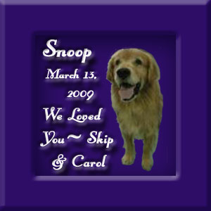 Snoop's Memorial March 13, 2009
